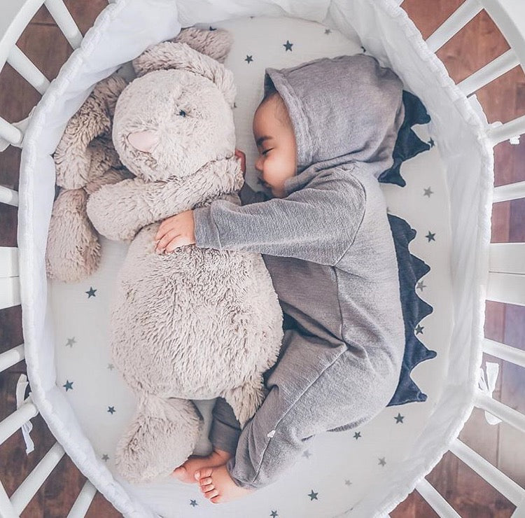Lulu Dinosaur Jumpsuit (Grey)